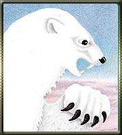 Drawing of a polar bear