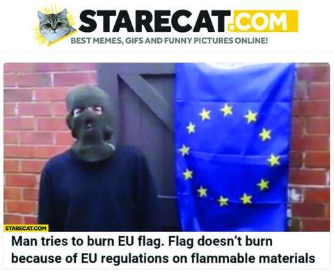 Starecat.com news story. Headline: Man tries to burn EU flag. Flag doesn't burn because of EU regulations on flammable materials. Image of man wearing balaclava standing in front of an EU flag.