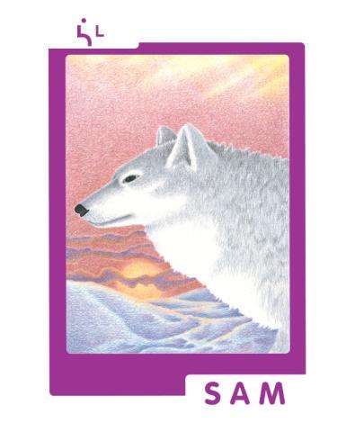 Poster: Sam the Wolf